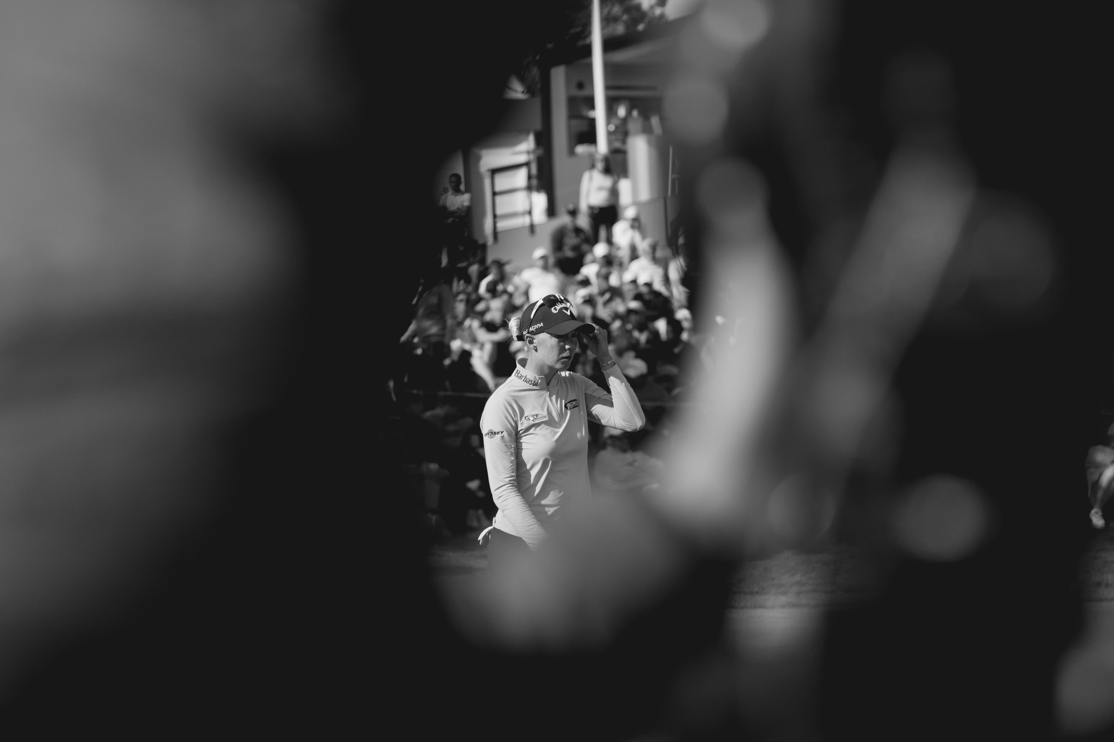 grid image